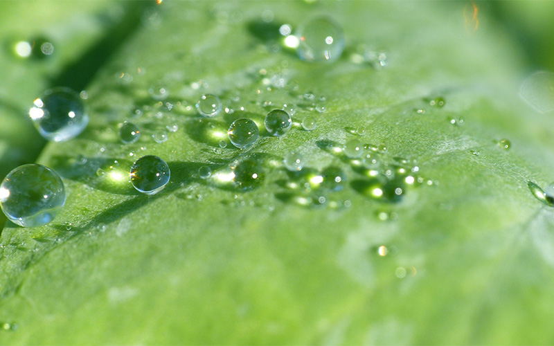 凝结水经济效益分析